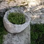 Eleni Villa *