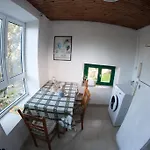 Eleni *