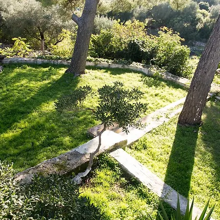 Eleni Villa *